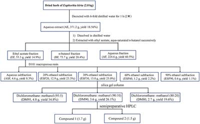 Bioactivity-guided isolation of potential antidiarrheal constituents from Euphorbia hirta L. and molecular docking evaluation